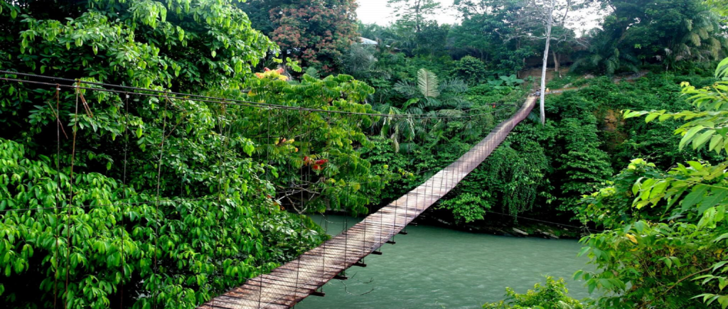 Jembatan Bukit Lawang