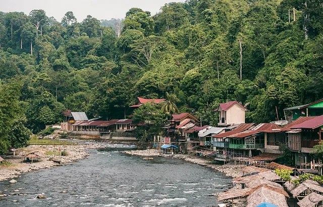 Wisata Alam Bukit Lawang di Sumatera Utara